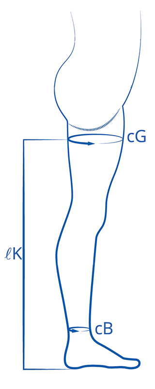 Diagrams showing where to measure body to determine stocking size.